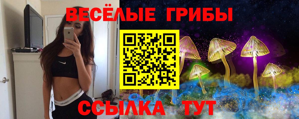 Псилоцибиновые грибы Cubensis Троицк