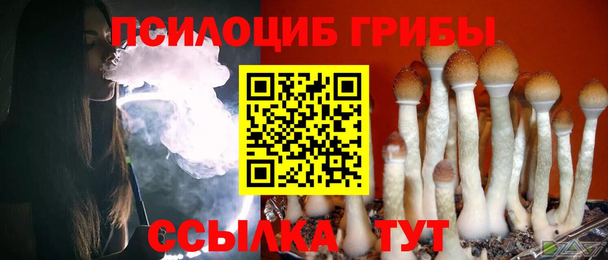 Троицк  Галлюциногенные грибы Psilocybe  Вход с VPN 